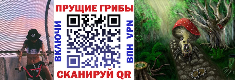 Галлюциногенные грибы Magic Shrooms Цоци-Юрт